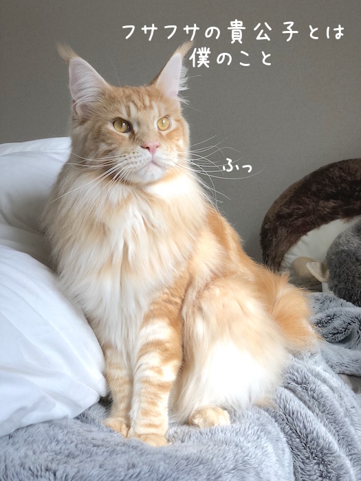 f:id:chikojirou:20181211212831j:plain