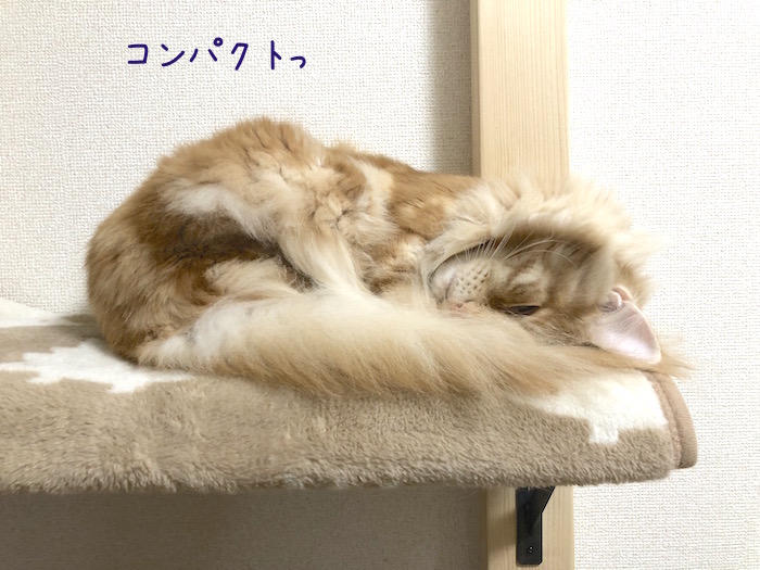 f:id:chikojirou:20181211213028j:plain