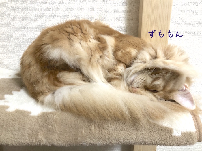 f:id:chikojirou:20181211213040j:plain