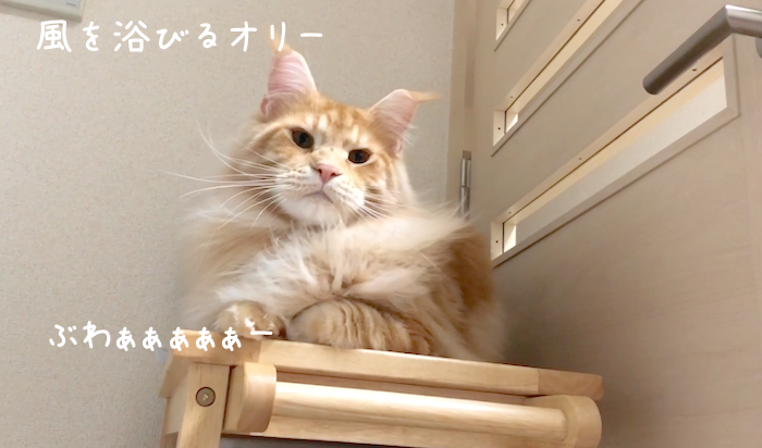 f:id:chikojirou:20181226214627p:plain