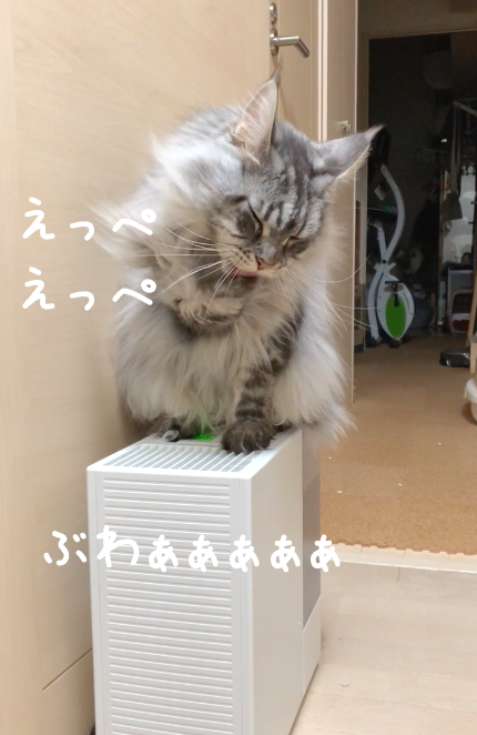 f:id:chikojirou:20181226214728p:plain