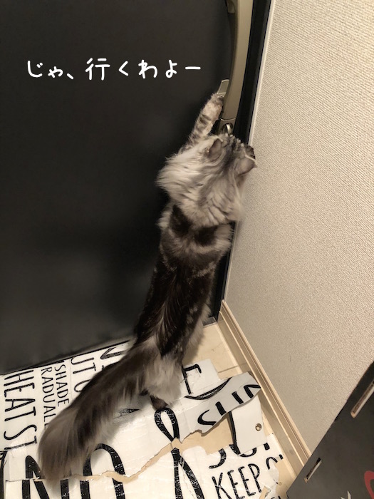 f:id:chikojirou:20181228214419j:plain
