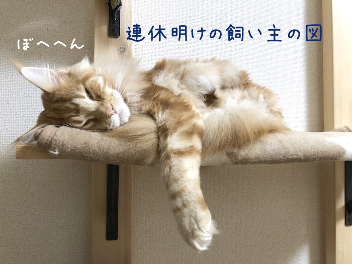 f:id:chikojirou:20190108213948j:plain