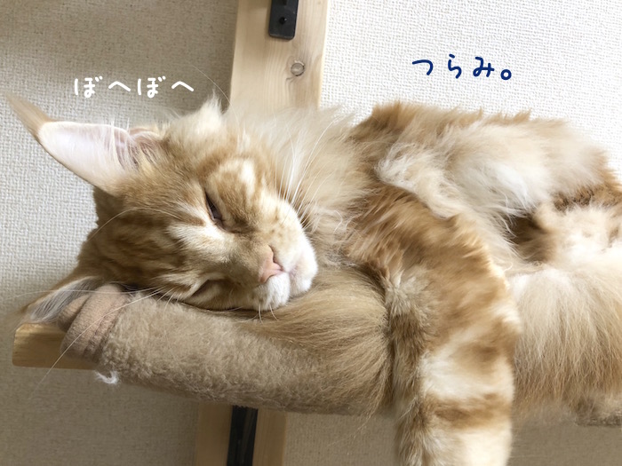 f:id:chikojirou:20190108213959j:plain
