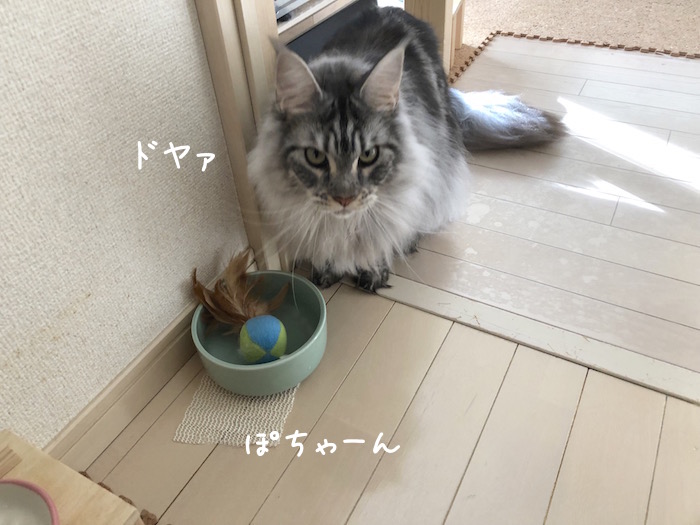 f:id:chikojirou:20190108214110j:plain