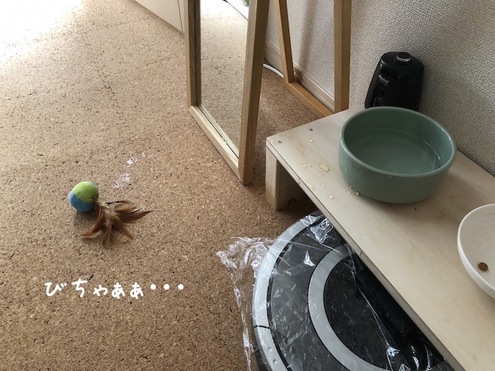 f:id:chikojirou:20190108214134j:plain