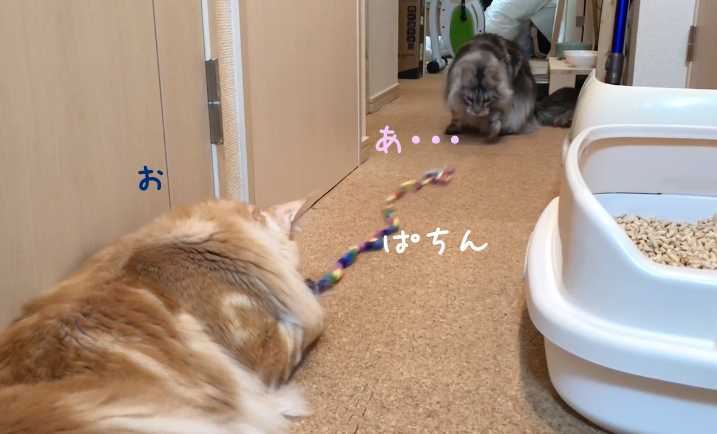 f:id:chikojirou:20190114212803p:plain