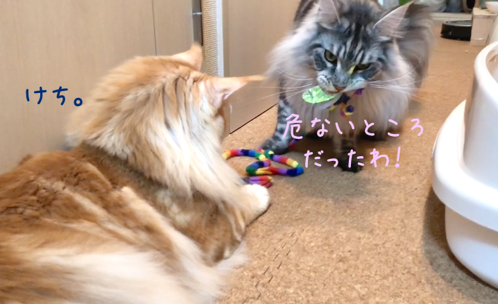 f:id:chikojirou:20190114212840p:plain