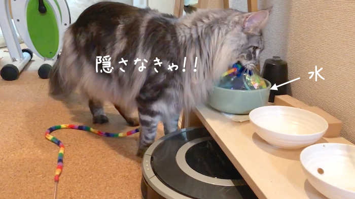 f:id:chikojirou:20190114212857p:plain