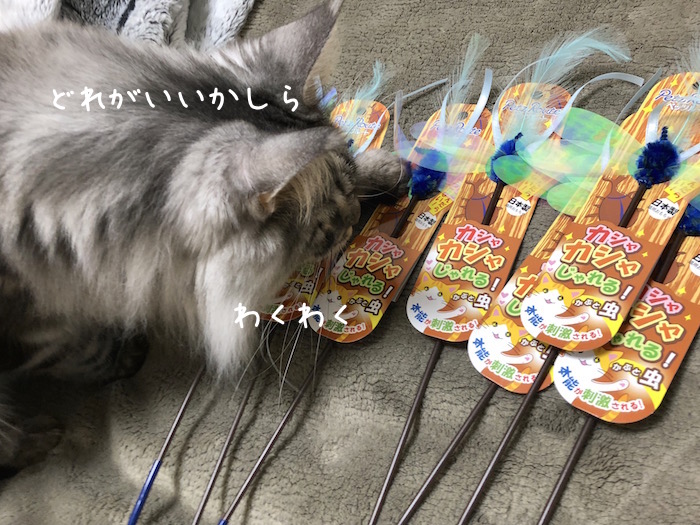 f:id:chikojirou:20190117214541j:plain