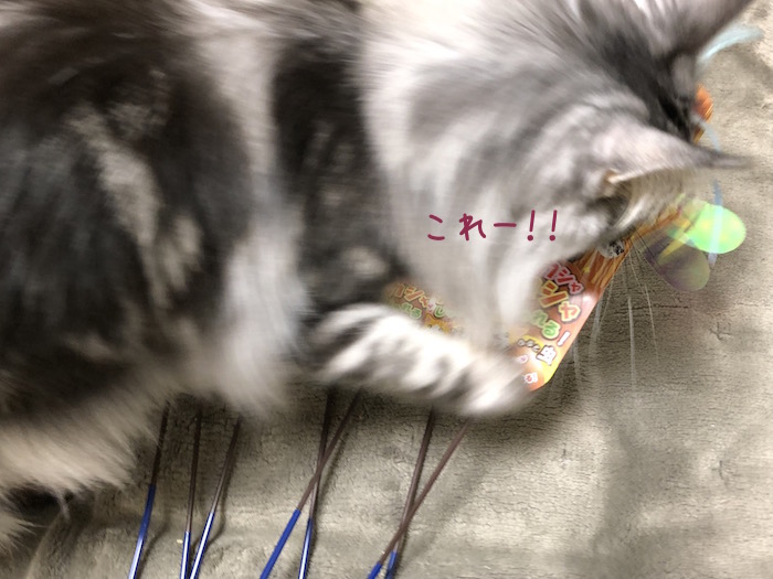 f:id:chikojirou:20190117214623j:plain