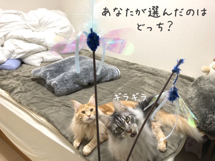 f:id:chikojirou:20190117214639j:plain