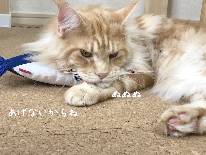 f:id:chikojirou:20190124220453j:plain