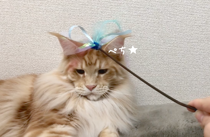 f:id:chikojirou:20190129215028p:plain