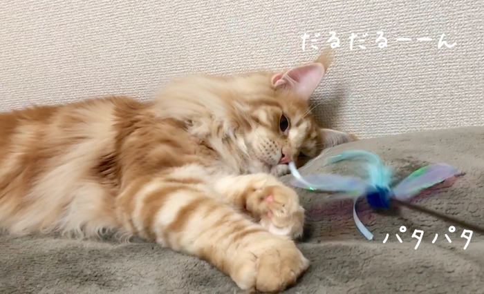 f:id:chikojirou:20190129215044p:plain