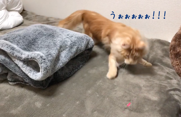 f:id:chikojirou:20190129215123p:plain