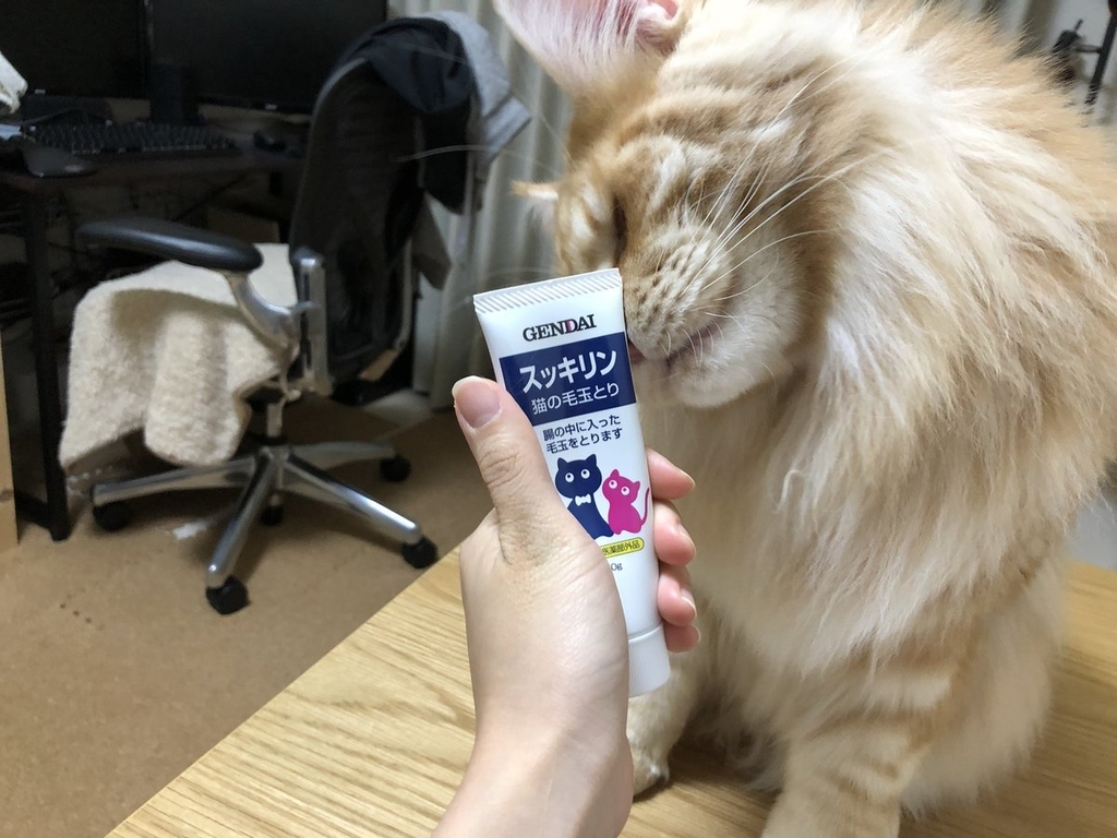 猫用毛玉対策薬