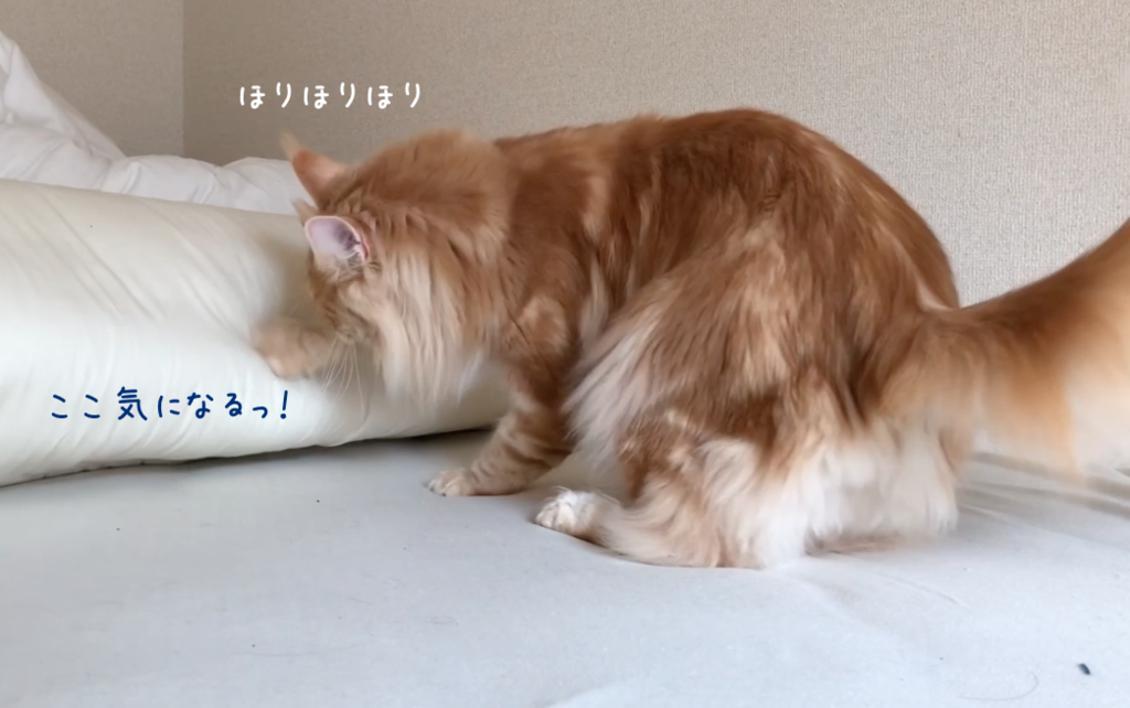 f:id:chikojirou:20190307221108p:plain