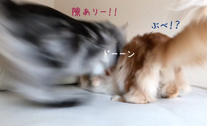 f:id:chikojirou:20190307221132p:plain