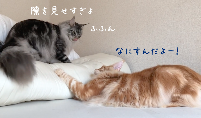 f:id:chikojirou:20190307221201p:plain