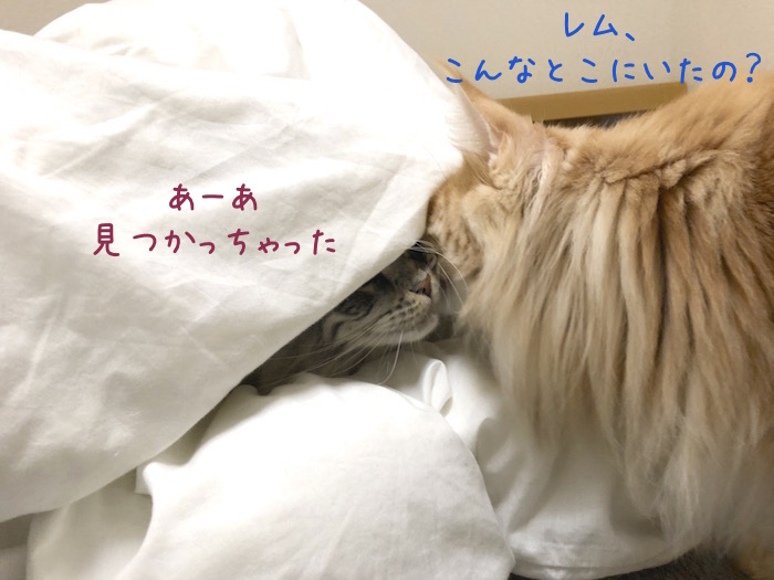 f:id:chikojirou:20190310212439j:plain