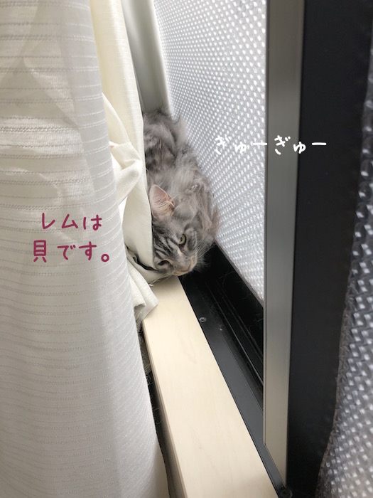 f:id:chikojirou:20190310212534j:plain