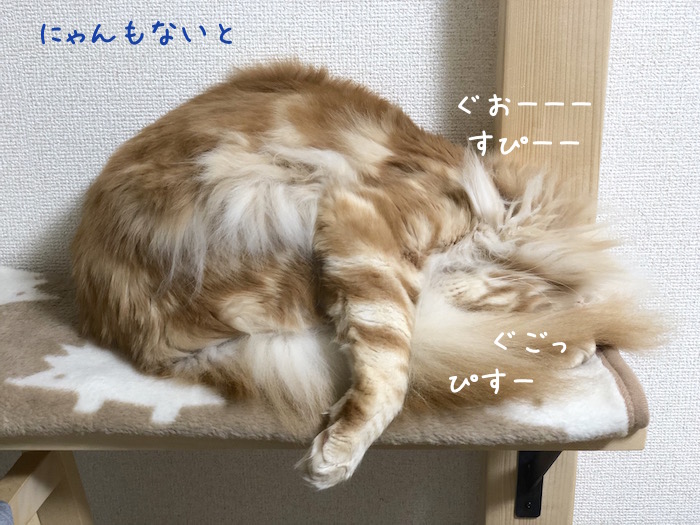 f:id:chikojirou:20190310212830j:plain