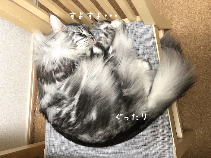 f:id:chikojirou:20190310212927j:plain
