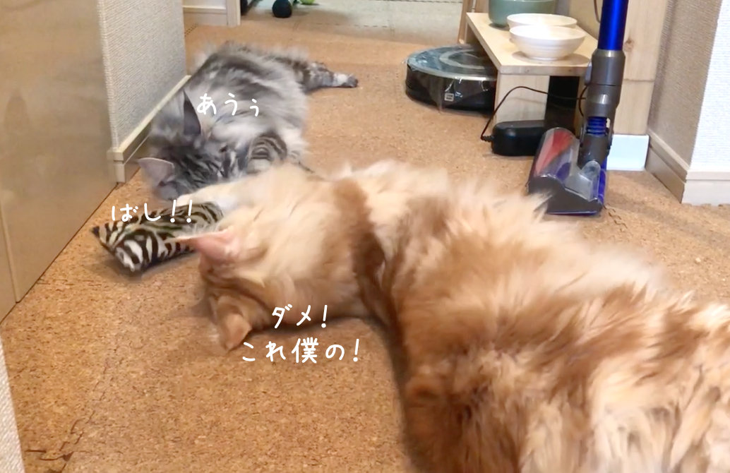 f:id:chikojirou:20190313220600p:plain