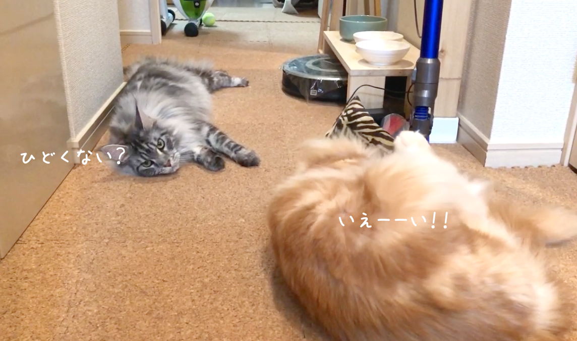 f:id:chikojirou:20190313220810p:plain