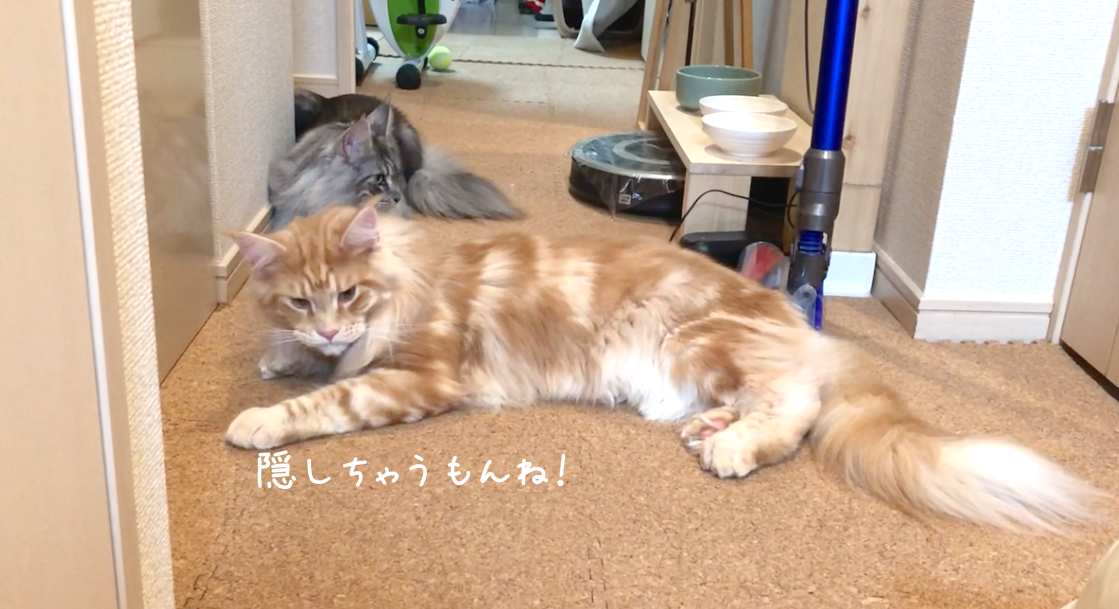 f:id:chikojirou:20190313220934p:plain
