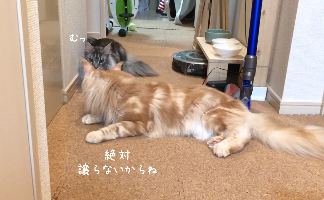 f:id:chikojirou:20190313220953p:plain