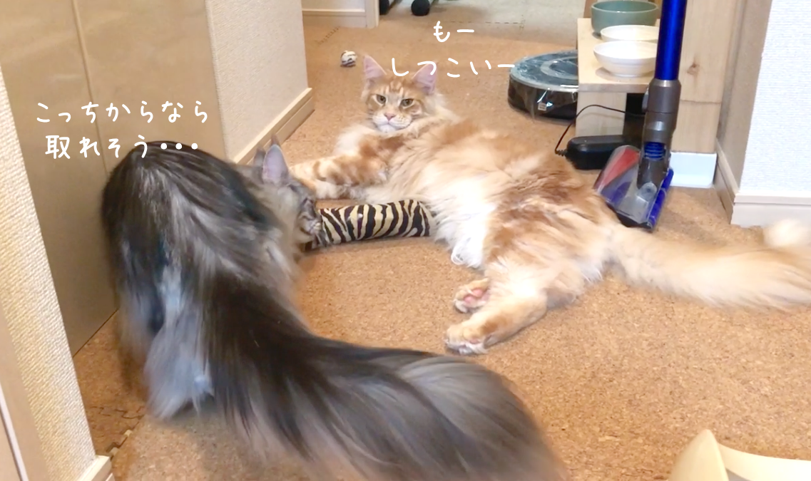 f:id:chikojirou:20190313221036p:plain