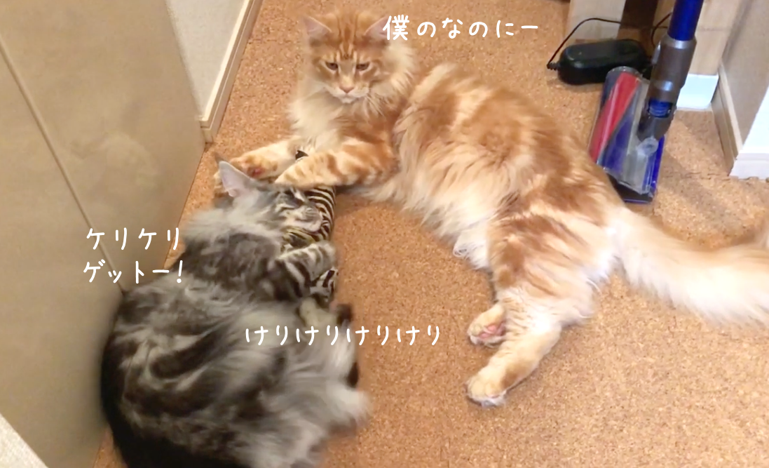 f:id:chikojirou:20190313221136p:plain