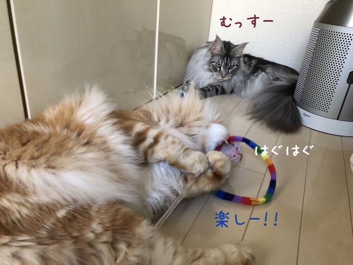f:id:chikojirou:20190319214516j:plain