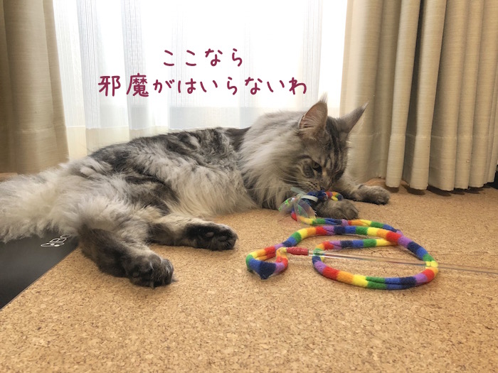 f:id:chikojirou:20190319214554j:plain