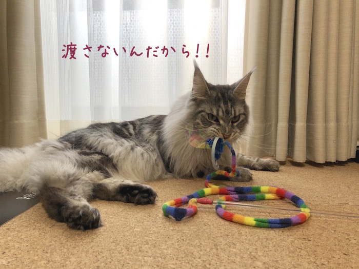 f:id:chikojirou:20190319214607j:plain