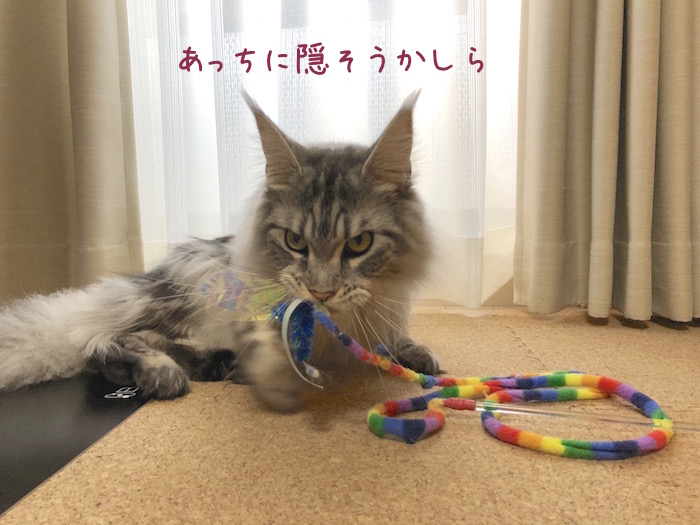 f:id:chikojirou:20190319214622j:plain