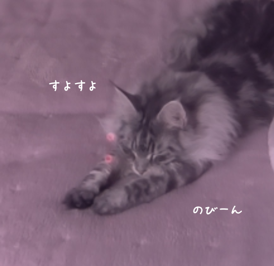 f:id:chikojirou:20190319214634p:plain