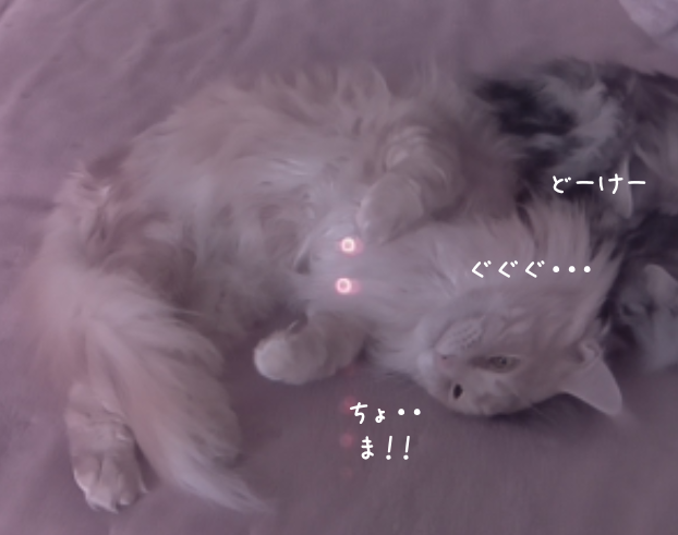f:id:chikojirou:20190319214714p:plain