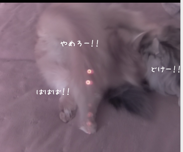 f:id:chikojirou:20190319214731p:plain