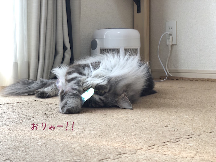 f:id:chikojirou:20190325215353j:plain