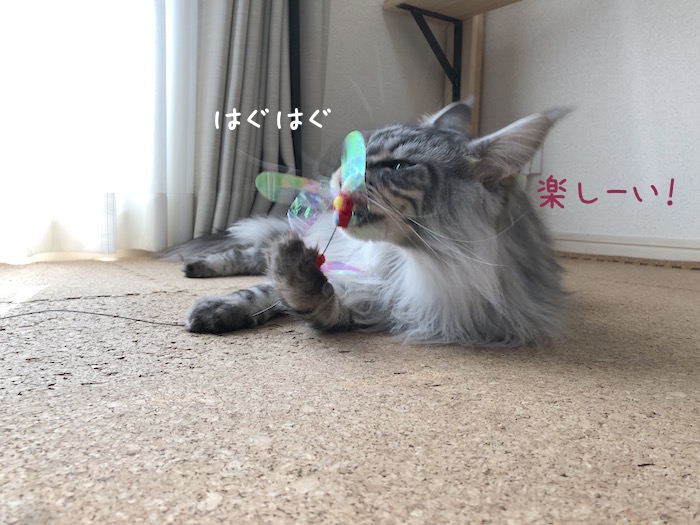 f:id:chikojirou:20190325215408j:plain