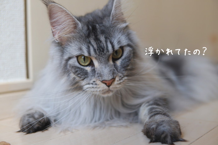 f:id:chikojirou:20190401212708j:plain