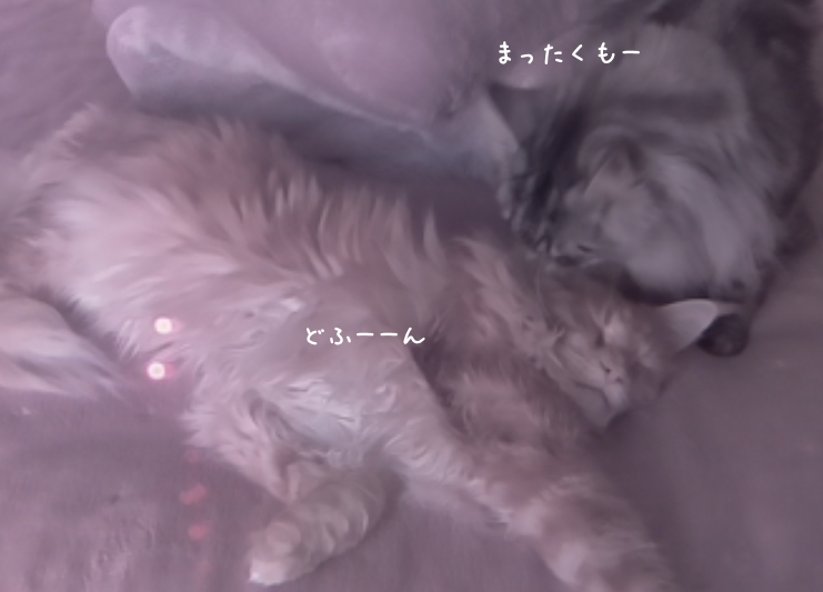 f:id:chikojirou:20190401212828p:plain