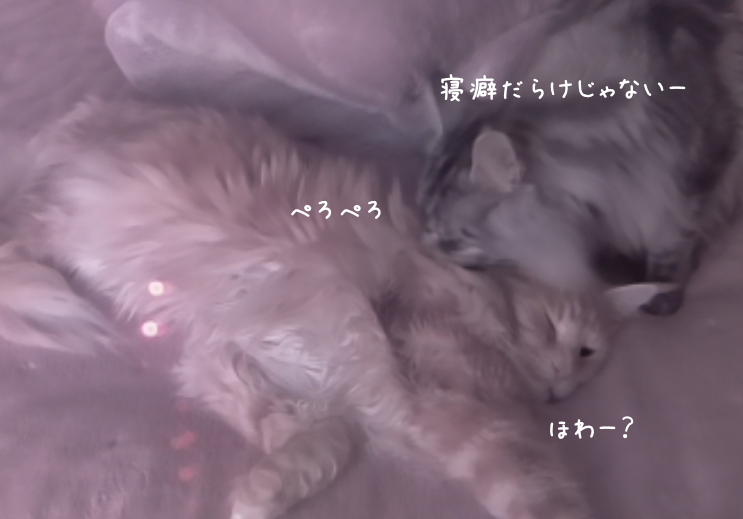 f:id:chikojirou:20190401212842p:plain