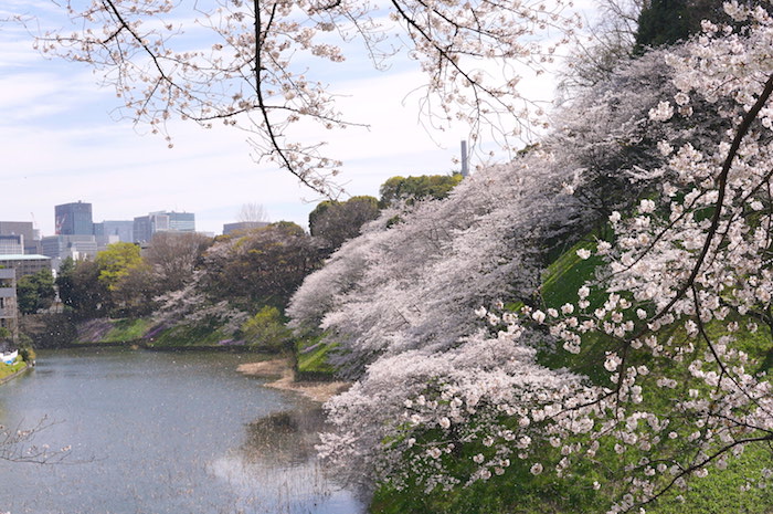 f:id:chikojirou:20190407211054j:plain
