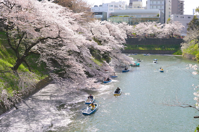 f:id:chikojirou:20190407211128j:plain