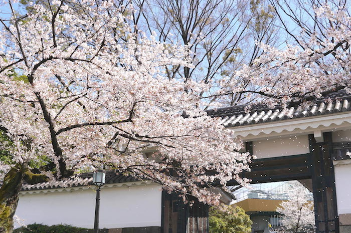 f:id:chikojirou:20190407211210j:plain
