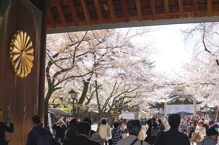 f:id:chikojirou:20190407211308j:plain